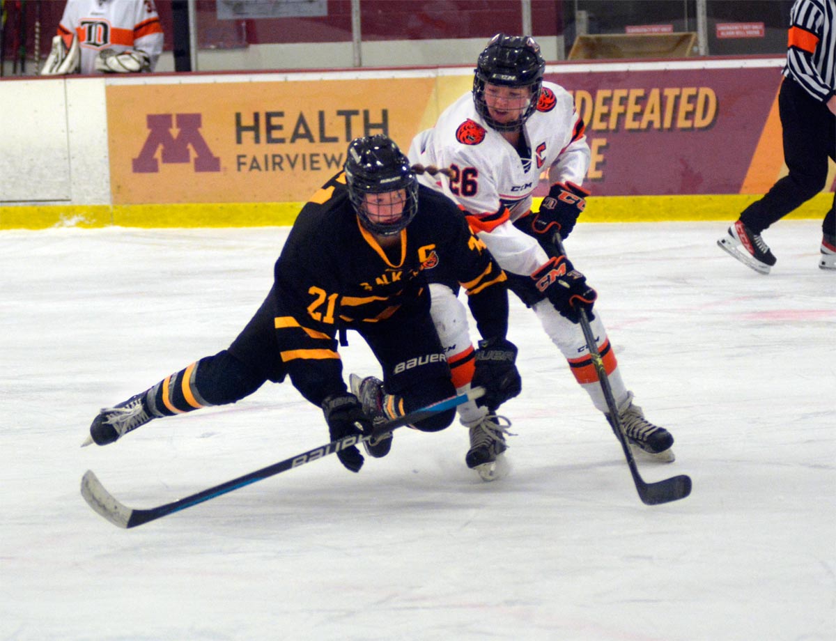 McKenzie Keller (21) leads the Mankato East Cougars back to the state tournament.<br>